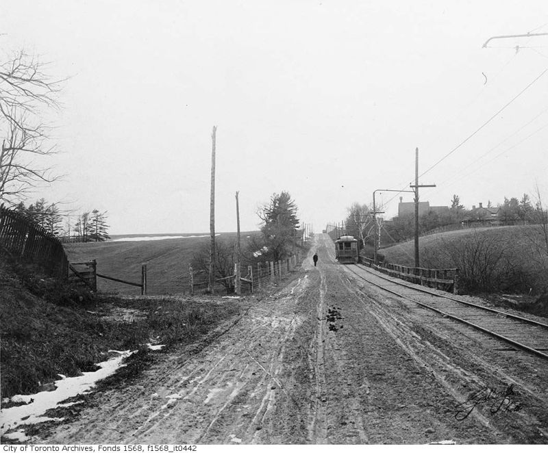 yonge-radial-f1568_it0442