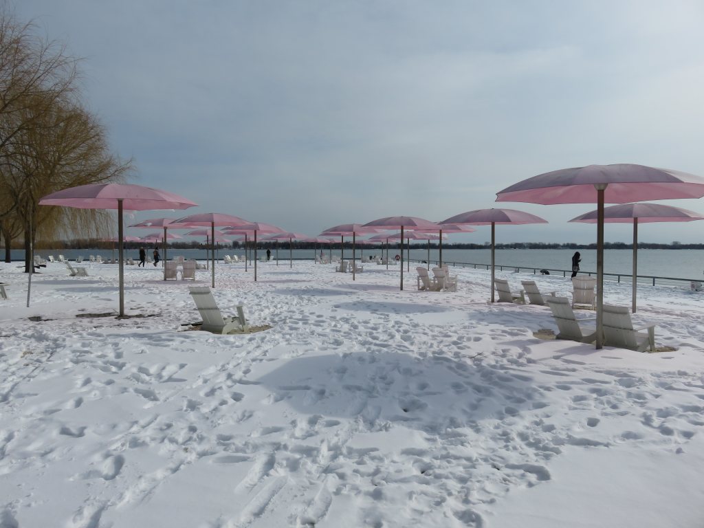 Finding a washroom during Toronto’s pandemic winter