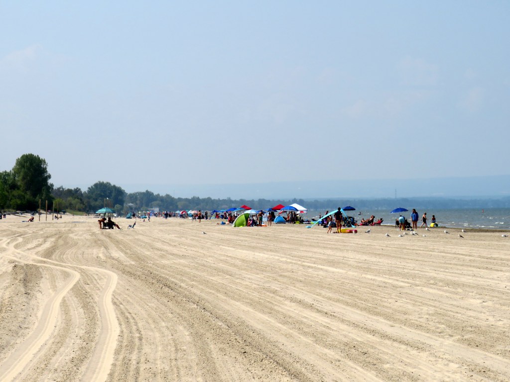 Why Wasaga Beach needs to be open to&nbsp;all